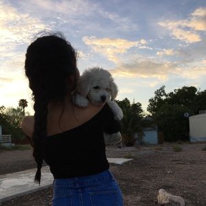 Meet your Posher, Dani